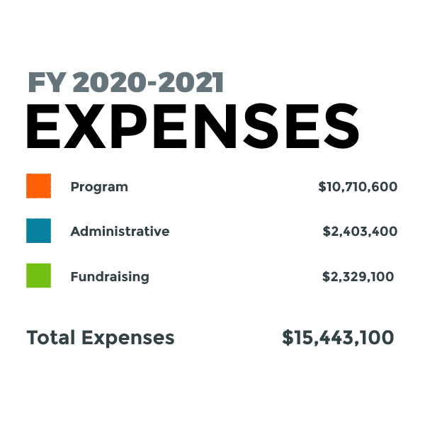 2021 Annual Report Expenses