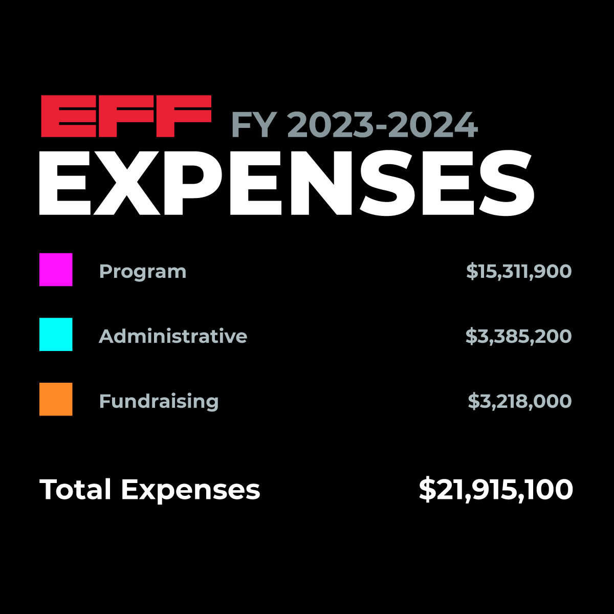 2024 Annual Report Expenses